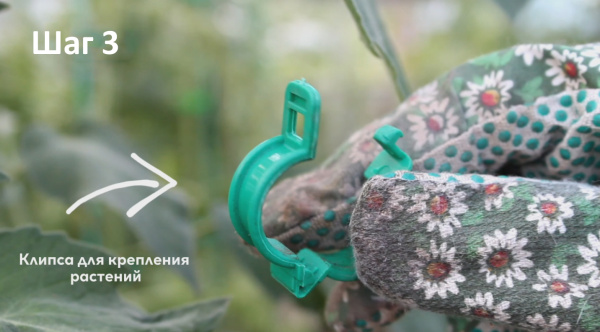 Клипса для крепления растений, уп. 50 шт.