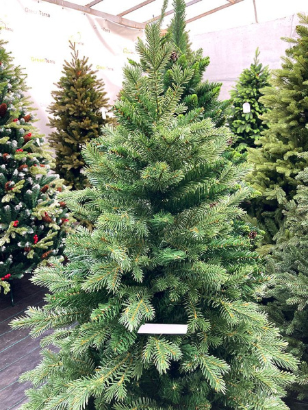 Елка "Монсанта"