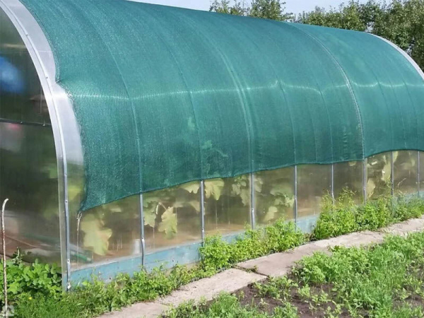 Сетка фасадная 3х5м 80% с клипсой