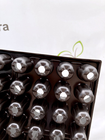 Кассета для рассады 144 ячейки (144-Ф Гидропоника), 20мл 