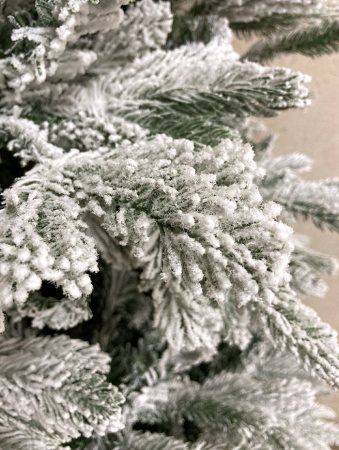 Елка "Онтарио" заснеженная