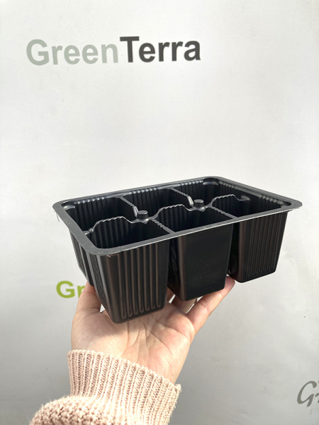 Мини кассета для рассады 6 ячеек, 170мл