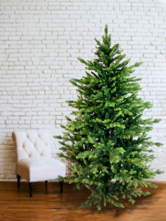 Елка "Ванкувер"