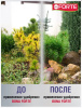 Удобрение Bona Forte Хвойное (весна-лето) 2кг