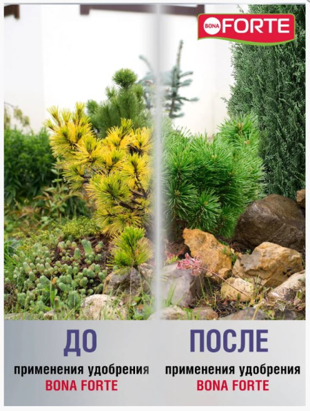 Удобрение Bona Forte Хвойное (весна-лето) 2кг