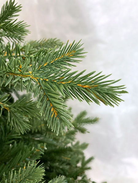 Елка "Монсанта"