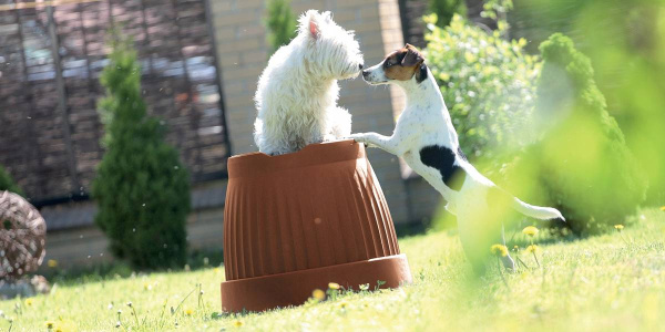 Цветочный горшок DCE Terra 27л, ø 45см