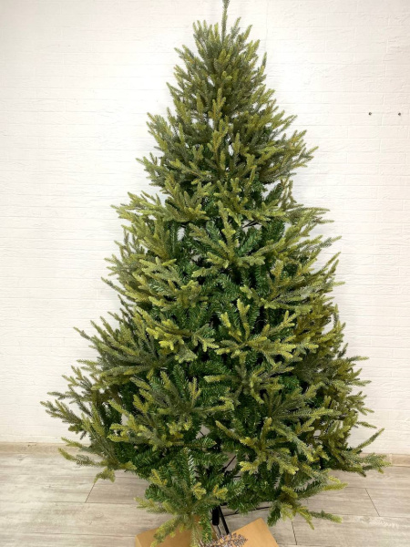 Елка "Этуаль"