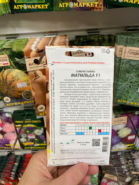 тыква Матильда F1