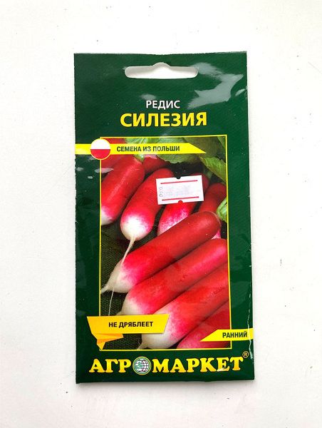 Редис Силезия