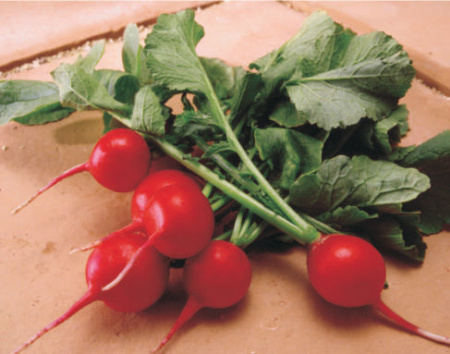 редис Мидуэй F1