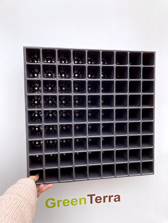 Кассета для рассады 81 ячейка (81-Ф), 55мл 