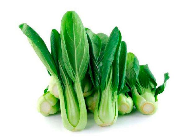 капуста китайская Пак-чой Янг Цинг Чой F1 