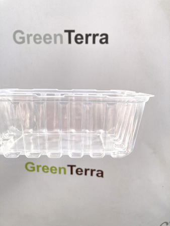 Минипарник с крышкой и кассетой на 6 ячеек