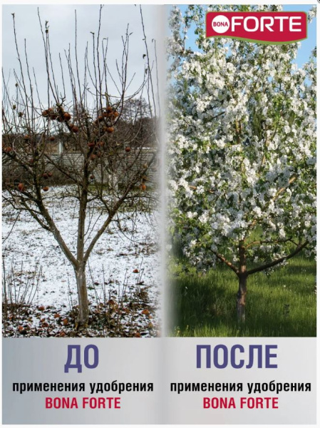 Удобрение Bona Forte пролонгированное с биодоступным кремнием Универсальное (осень-зима) 2.5кг