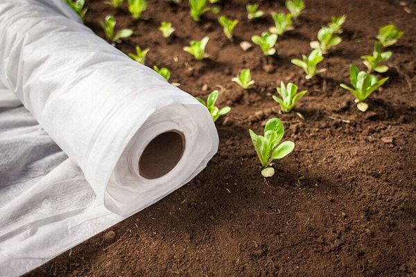 Спанбонд (агроспанбонд) 17г/м2; 1.6х10м