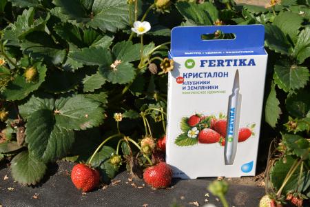 Комплексное минеральное удобрение фертика КРИСТАЛОН - для клубники и земляники, 5х10мл