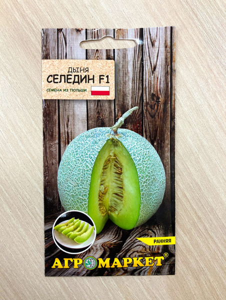 дыня Селедин F1