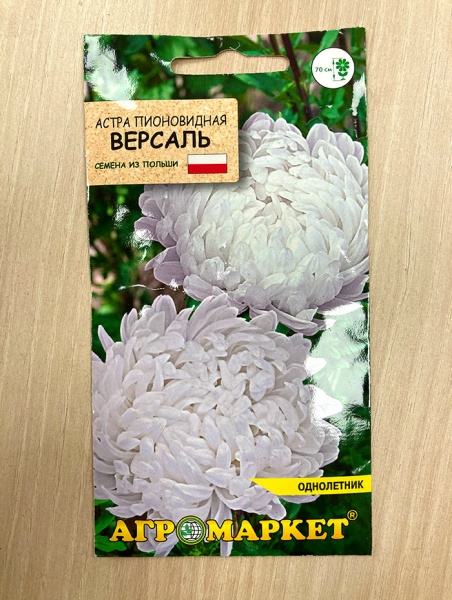 астра пионовидная Версаль