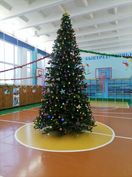 Большая ель ствольная "Эксклюзив Слим"