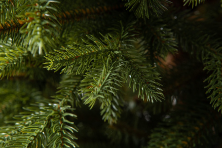 Елка "Аляска" Слим