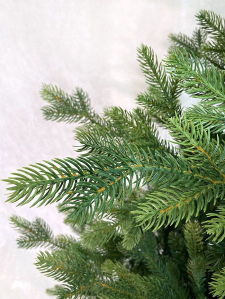 Елка "Ванкувер"