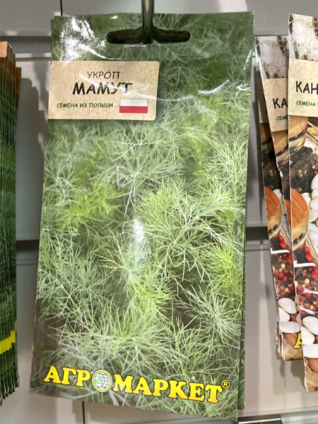 укроп Мамут