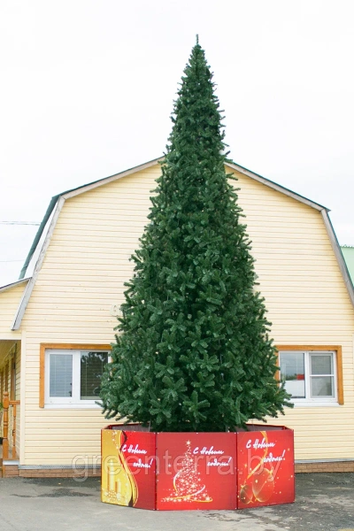 Уличная ствольная ель "Альпийская" Уличная ствольная ель "Альпийская"
