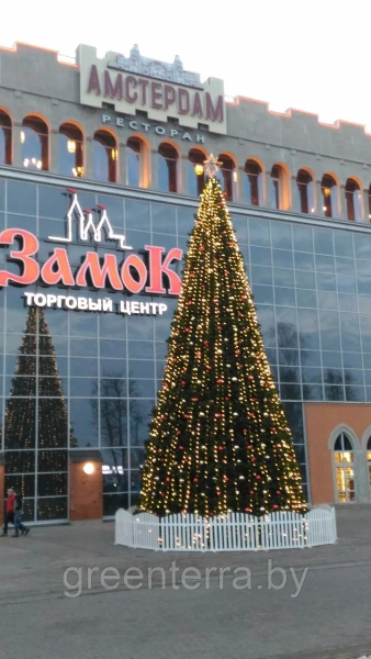 Большая ель каркасная "Уральская" Большая ель каркасная "Уральская"
