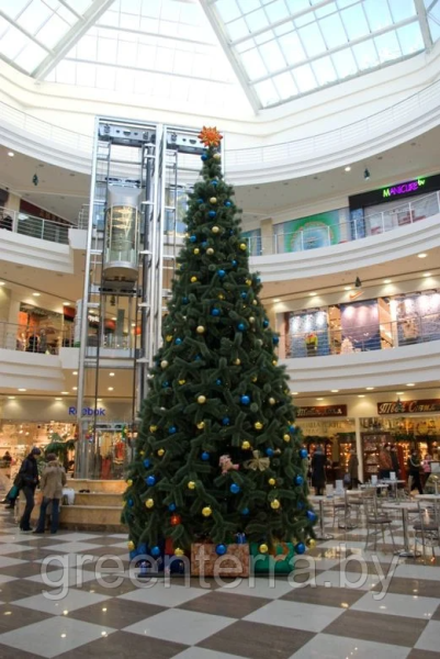 Уличная ствольная сосна "Альпийская"