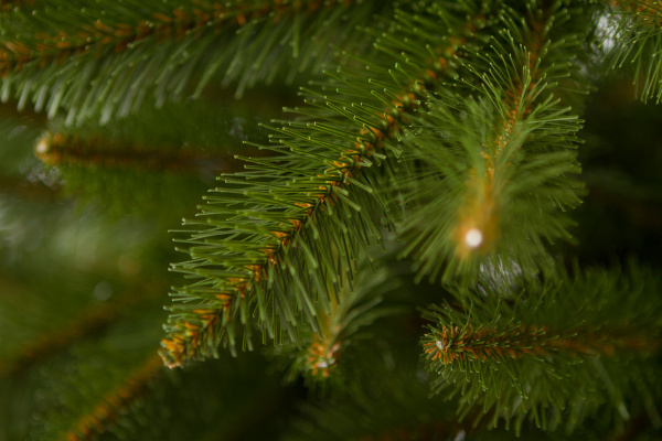 Елка "Бовари"