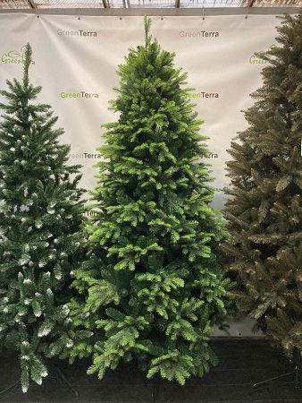 Елка "Кашемир" 