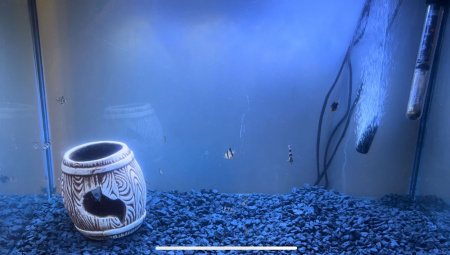 Щебень окрашенный гранитный, синий, 5-10мм, (20 кг)