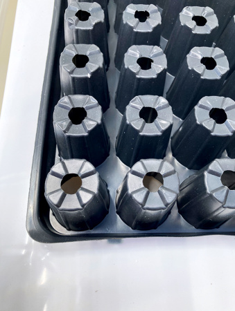 Кассета для рассады, 60 ячеек (70мл)