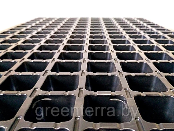 Кассета для рассады, 160 (0.6) ячеек (22мл)