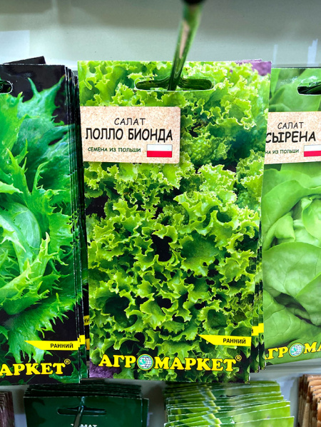 Салат Лолло Бионда