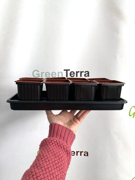 Набор для рассады: поддон + 8 горшков 8*8*8 [00256]