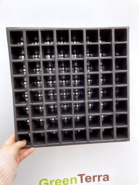 Кассета для рассады 64 ячейки (свекла), 35мл 