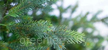 Ель интерьерная "Сказочная" премиум Ель интерьерная "Сказочная" премиум