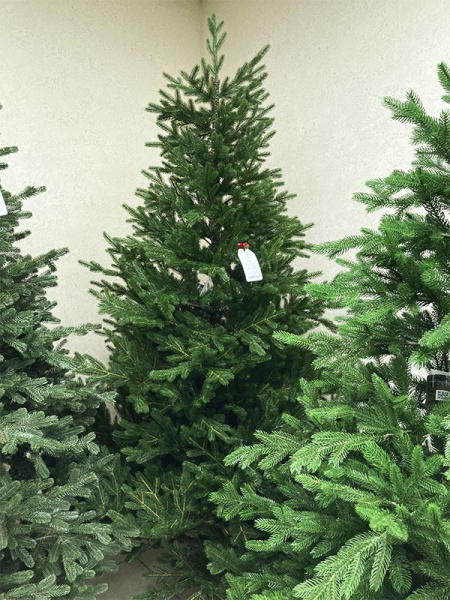 Елка "Сапфир" 100% РЕ