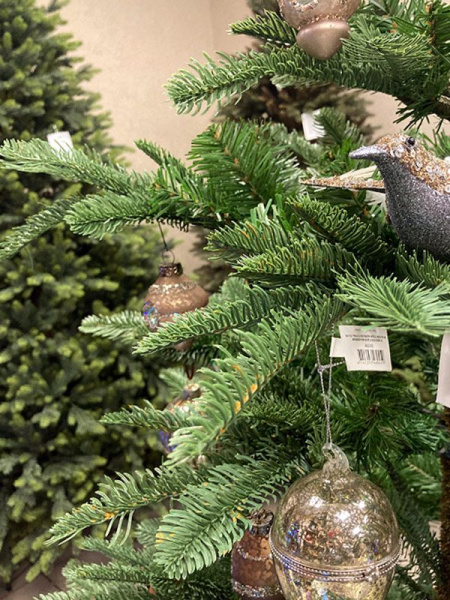 Елка "Нобилис"