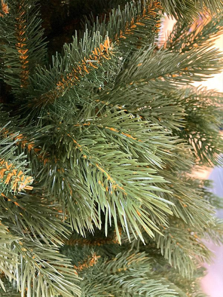 Сосна "Тундра"