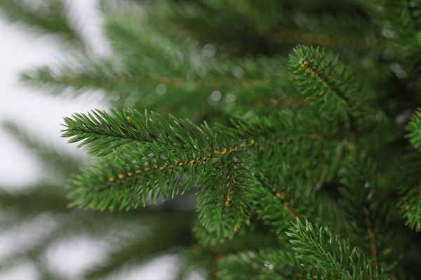 Ель "Адель" РЕ 100%