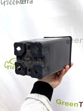 Высокий горшок для роз 2л, 12*12*20см.