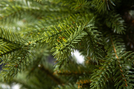 Елка "Аляска" Слим