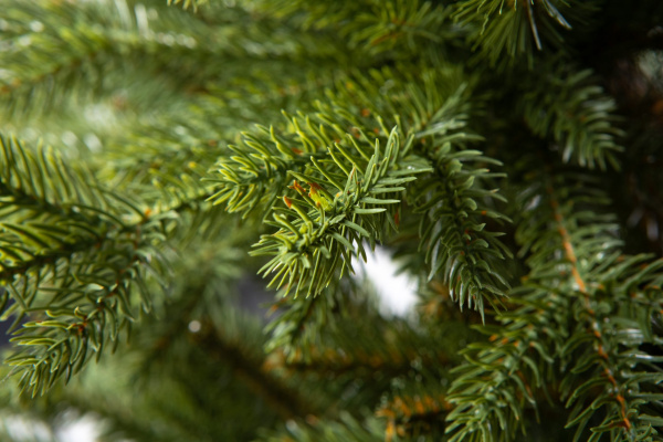 Елка "Аляска" Слим