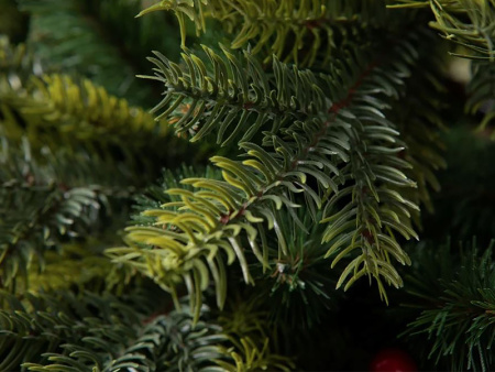 Елка "Кашемир" 