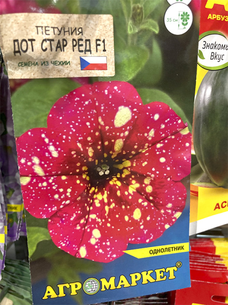 петуния Дот стар Ред F1