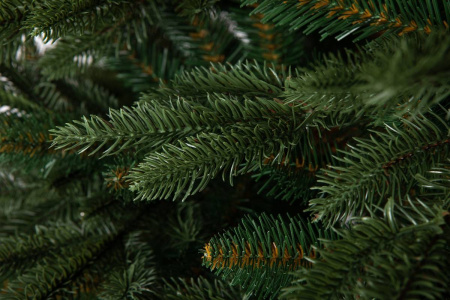 Елка "Калифорния"