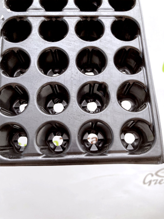 Кассета для рассады 144 ячейки (144-Ф Гидропоника), 20мл 